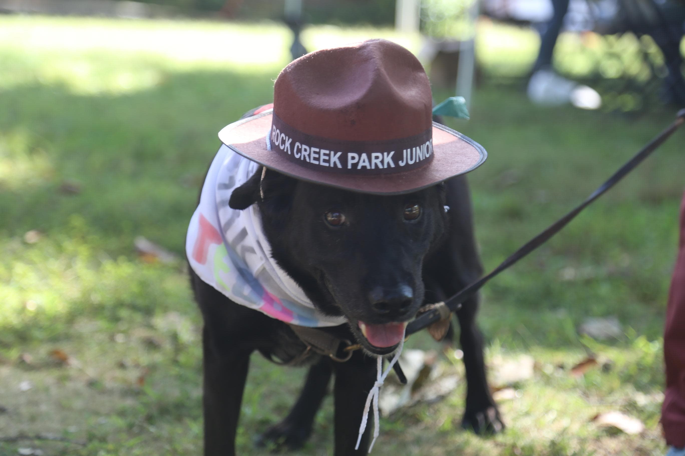 B.A.R.K. Ranger at Rock Creek Park